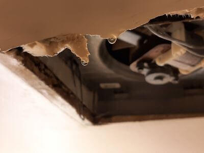 Professional water damage restoration services in Davie - Water Damage Pros LLC